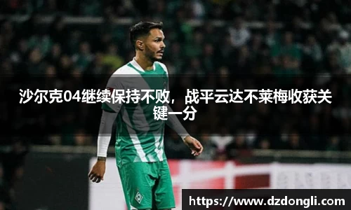 沙尔克04继续保持不败，战平云达不莱梅收获关键一分